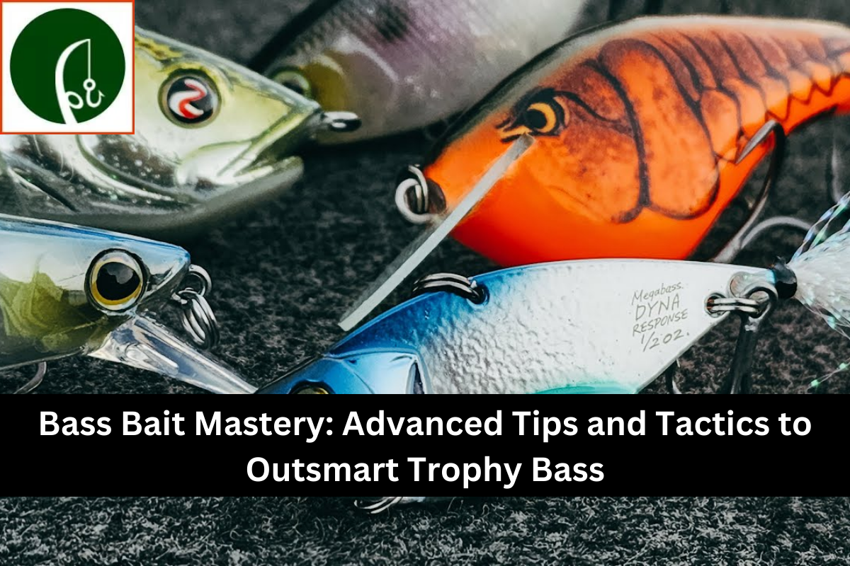 Bass Bait Mastery Advanced Tips and Tactics to Outsmart Trophy Bass