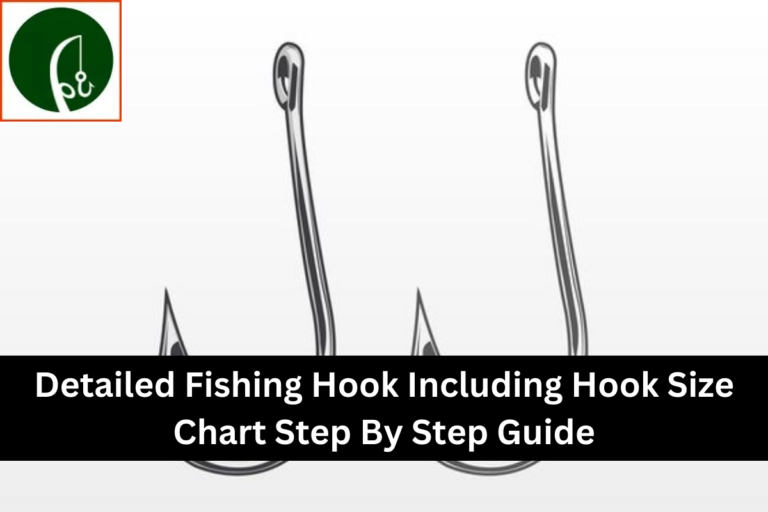 Detailed Fishing Hook Including Hook Size Chart Step By Step Guide (1)
