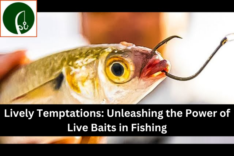 Lively Temptations: Unleashing the Power of Live Baits in Fishing