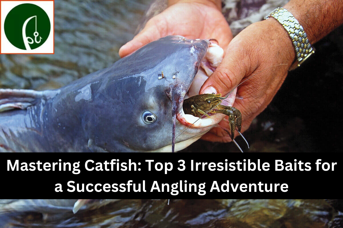 Mastering Catfish: Top 3 Irresistible Baits for a Successful Angling Adventure