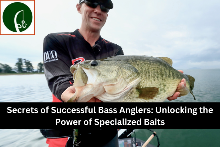 Secrets of Successful Bass Anglers Unlocking the Power of Specialized Baits