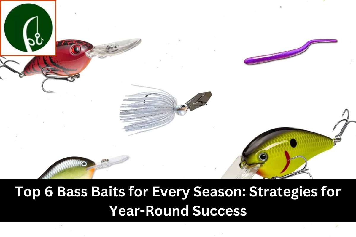 Top 6 Bass Baits for Every Season: Strategies for Year-Round Success